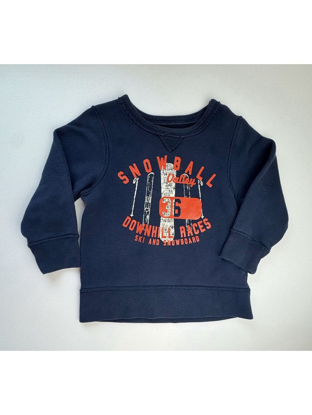 The Children’s Place Ski & Snowboard Crewneck Size 4T